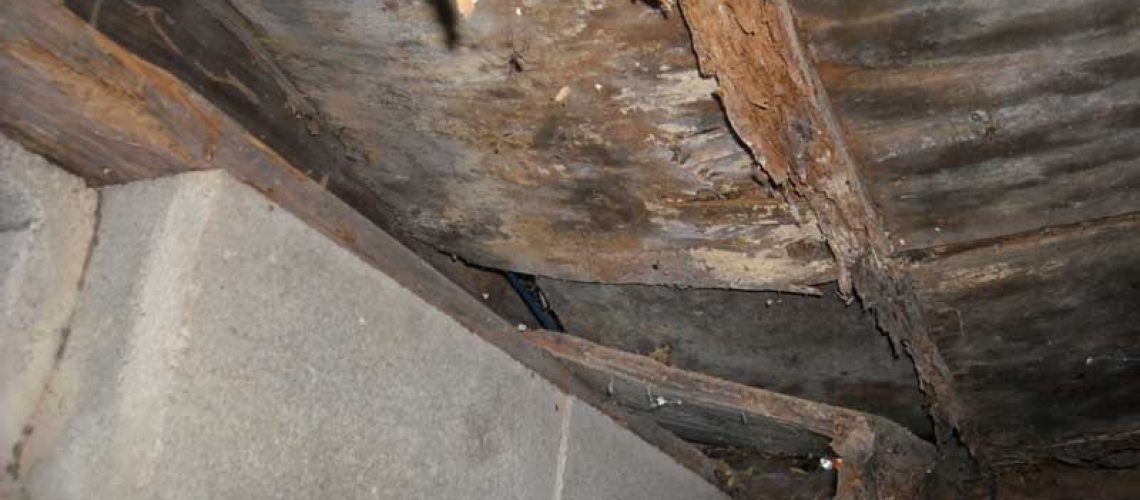 crawlspace-structure-damage-1030x773